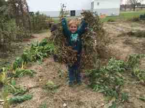 How many seeds here?