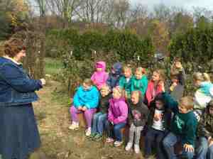 seed recycling lesson