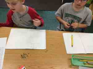 verifying seed estimates