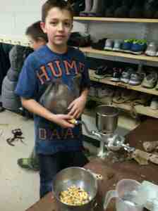 grinding flint corn kernels