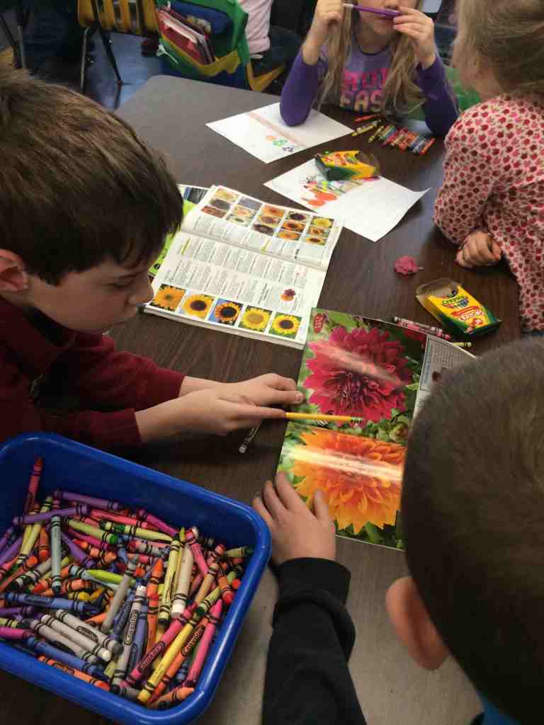 checking into catalogs