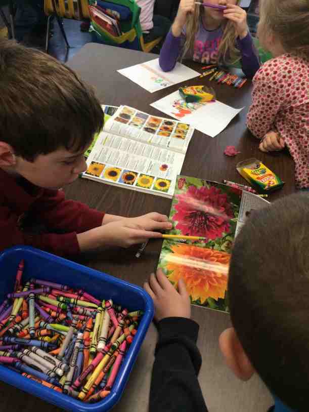 checking into catalogs