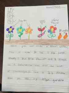 Have you ever made a dream garden?