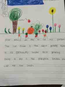 How would you like to see my garden?