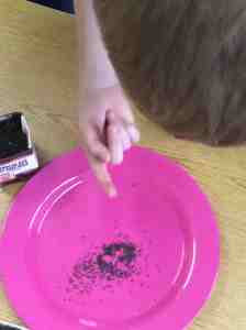 close-up of a basil seed