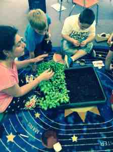 examining root systems