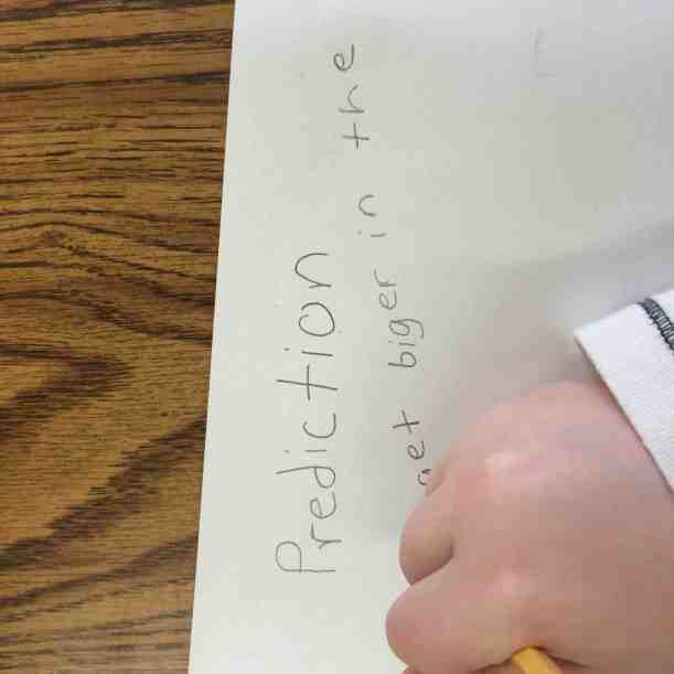 Where will the seeds grow best?