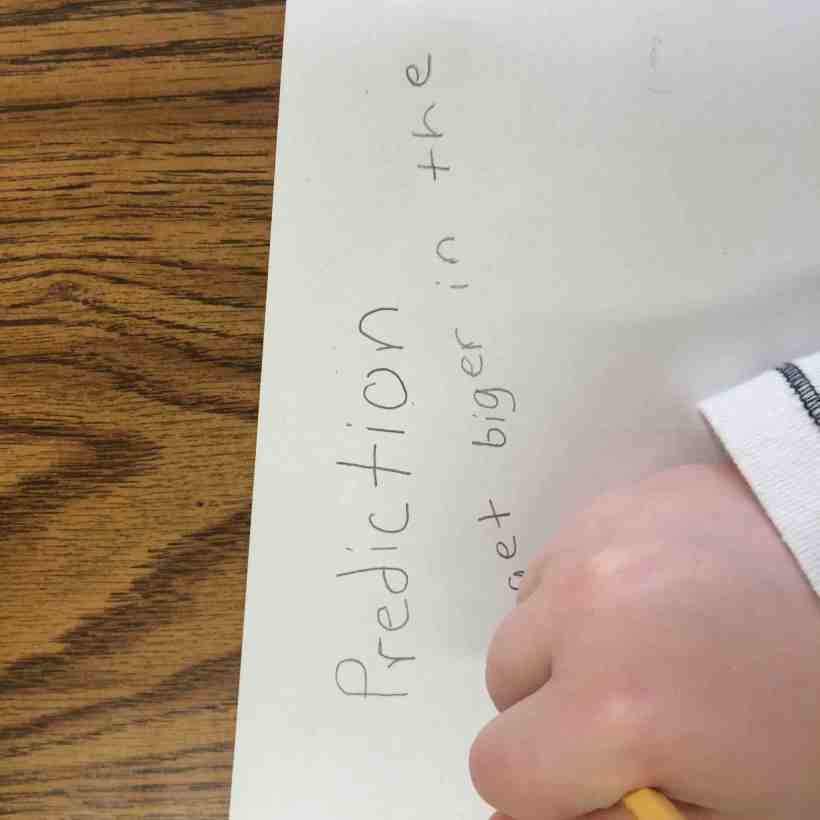 Where will the seeds grow best?