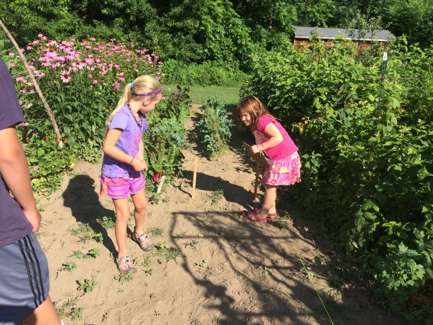 circumference measured