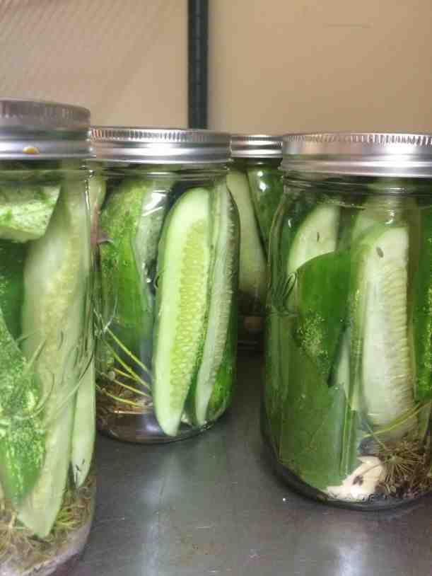 finished pickles