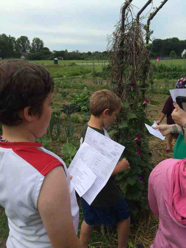 garden scavenger hunt