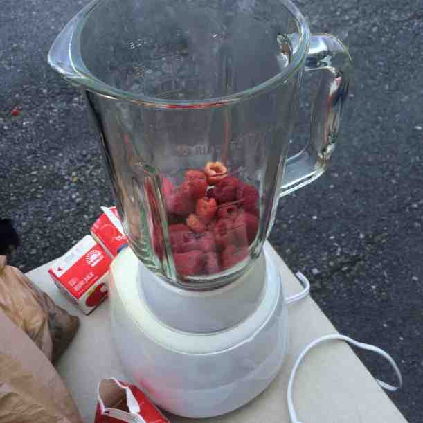 raspberry kale smoothies