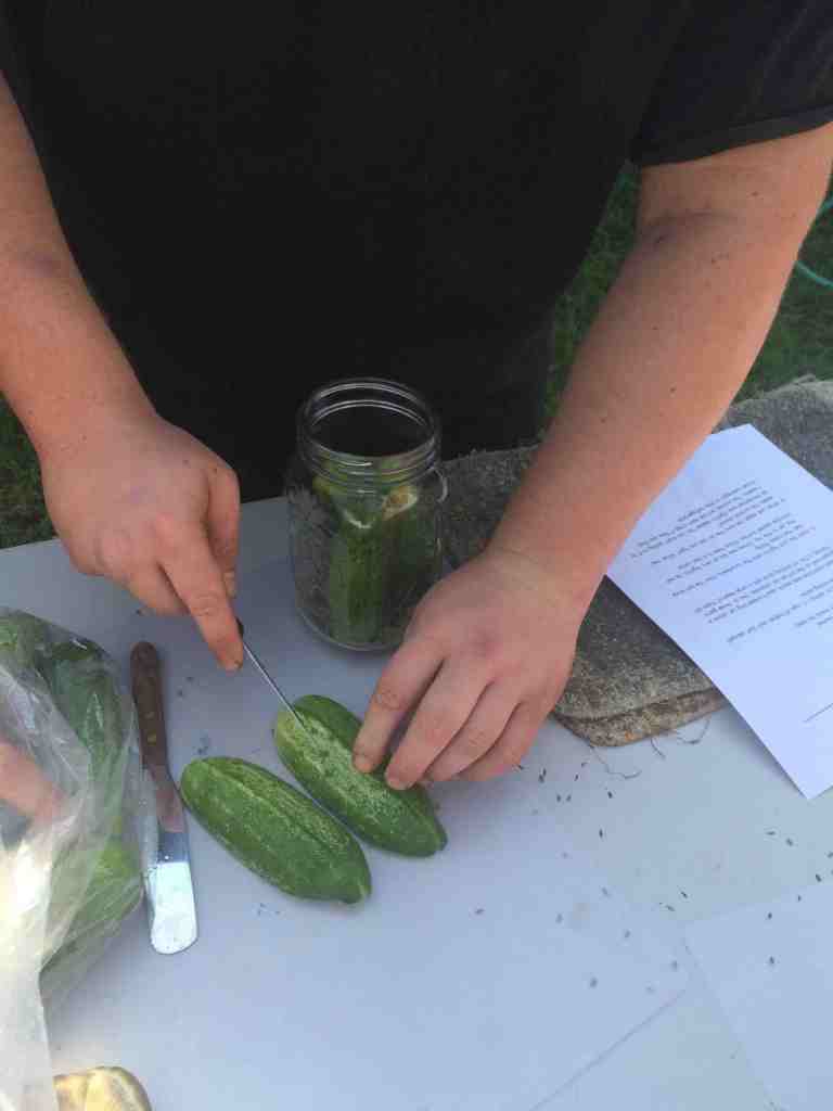 slicing cukes