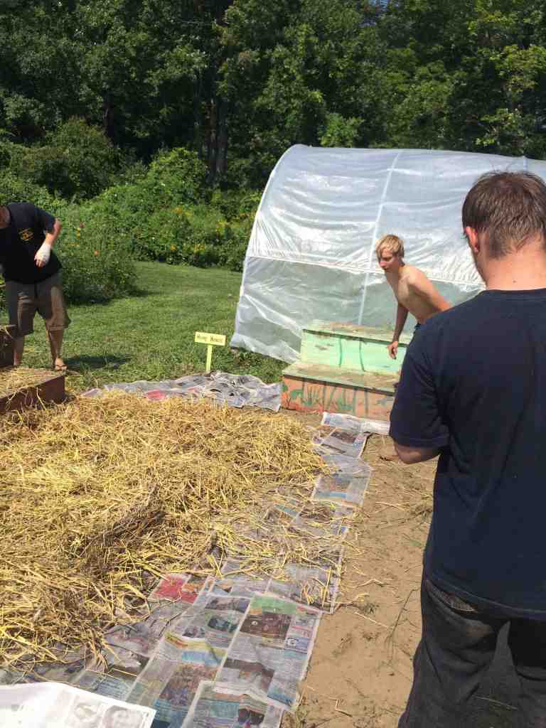 weeding and mulching meeting area