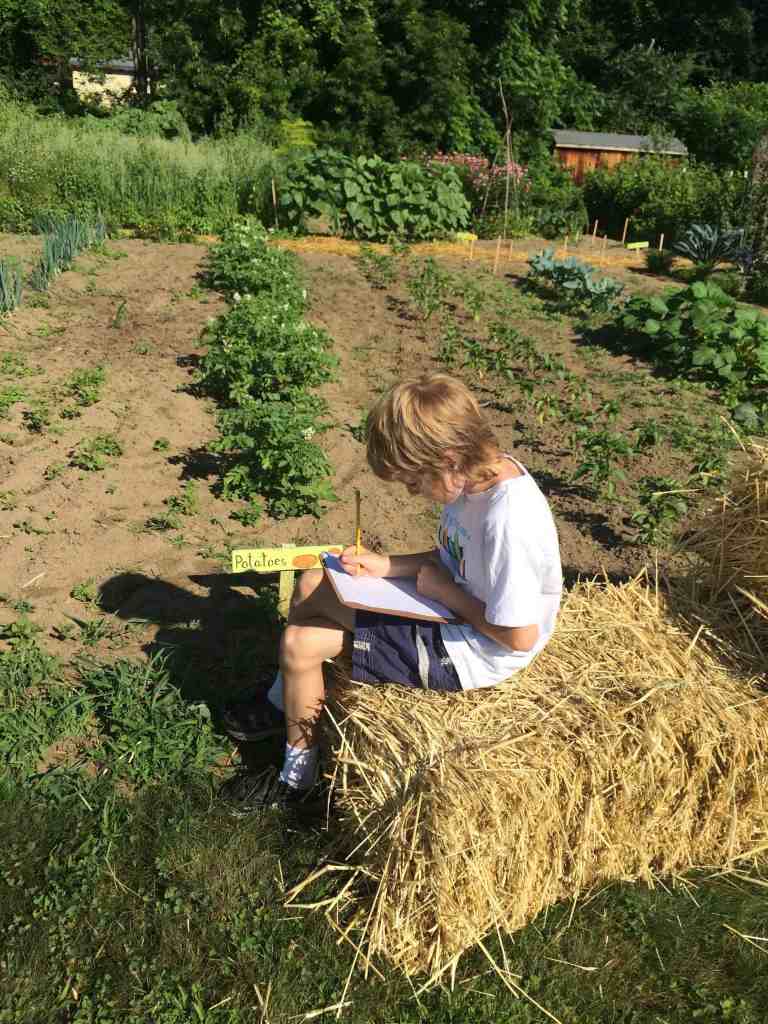 writing garden observations