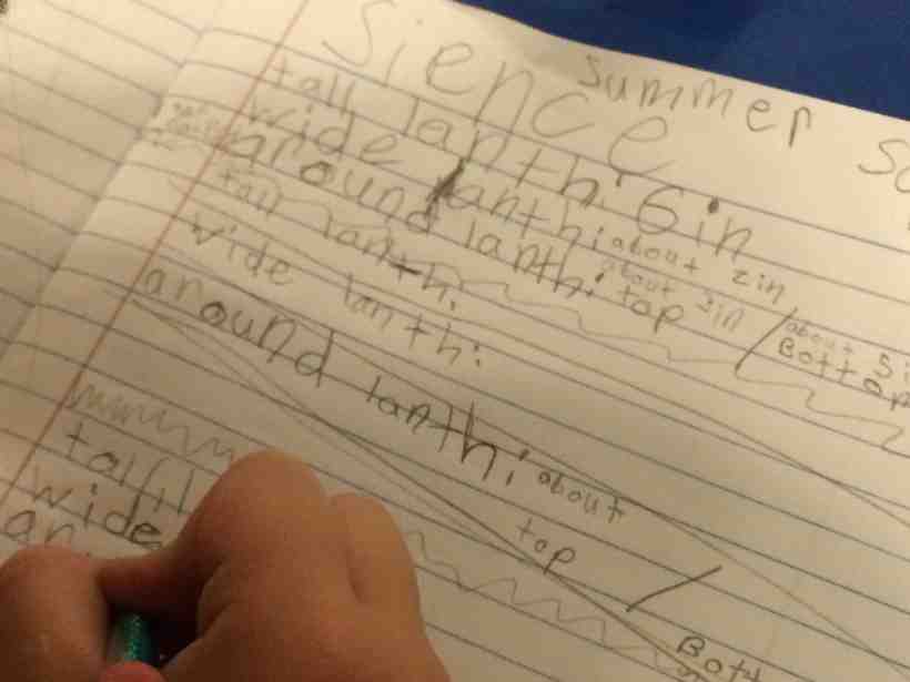 writing science observation