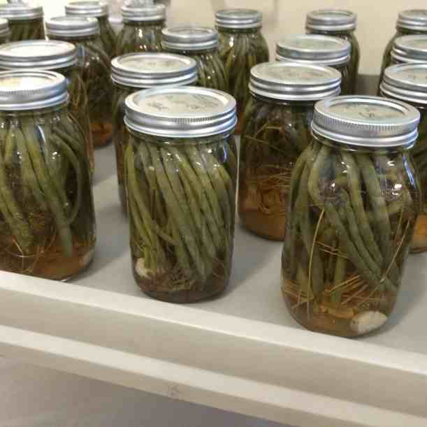 DILLY BEANS READY FOR THE SALAD BAR