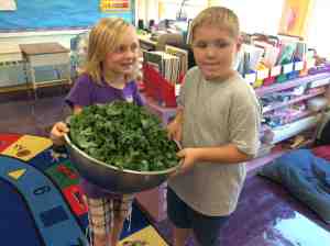 Kale Chips
