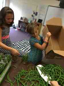 washed bean delivery