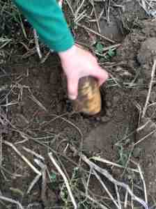 another treasure discovered