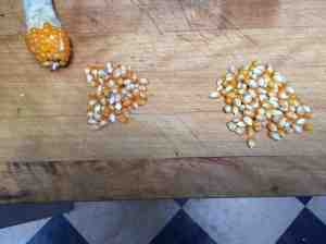 kernels this year and last