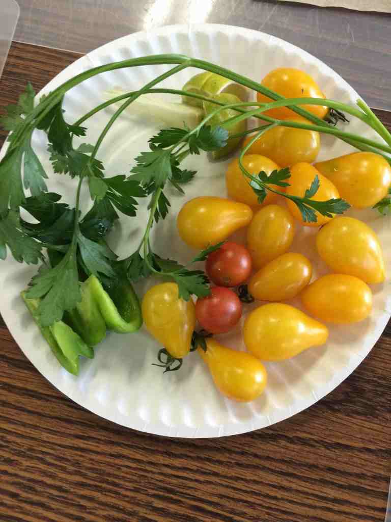 plate of ingredients