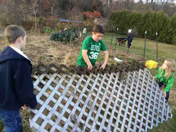 putting away cucumber trellis