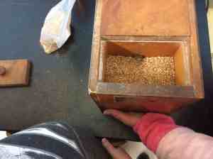 WHEAT BERRIES BEFORE GRINDING