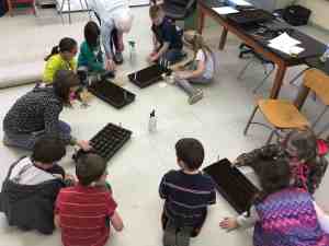 ASP Garden Club week 1