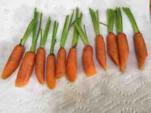 trimmed carrots