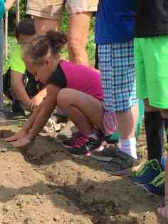 COVERING PEANUTS.jpg