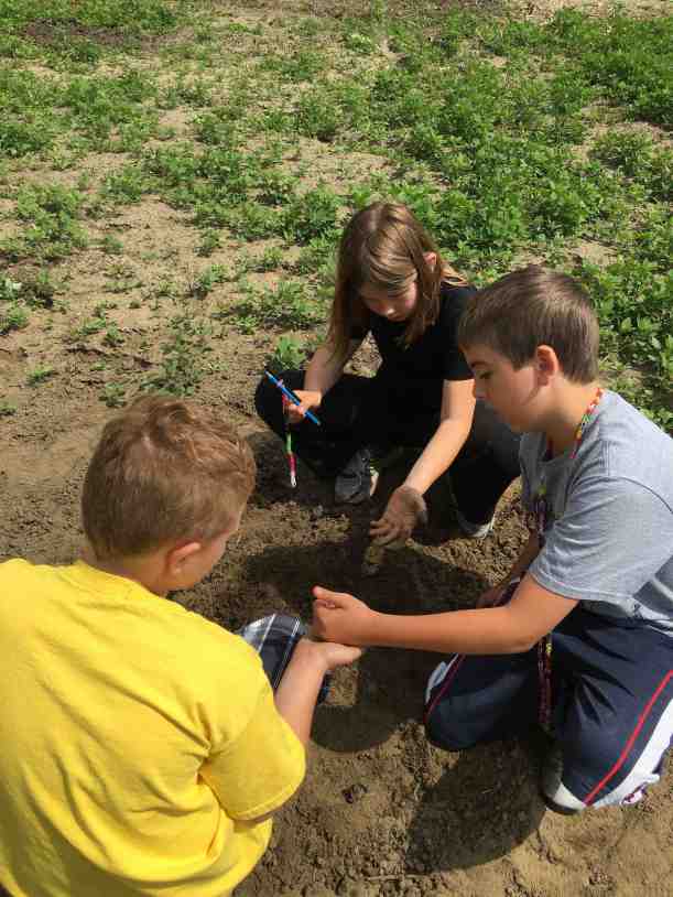 HILLS PLANTED IN TEAMS.jpg