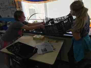 putting starts into the classroom window