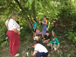 FAIRY HOUSES AND KALE SMOOTHIES
