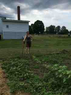 Paula weeding sunflower house