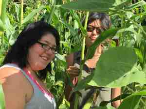 garden-crew-in-the-popcorn