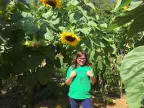 in-the-sunflower-house
