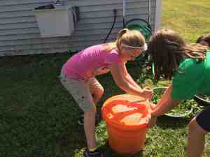 spinning-the-basil-dry
