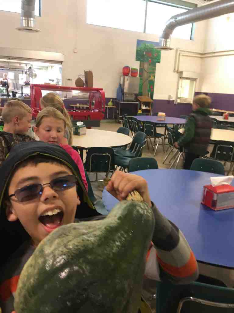 Winter Squash Harvest